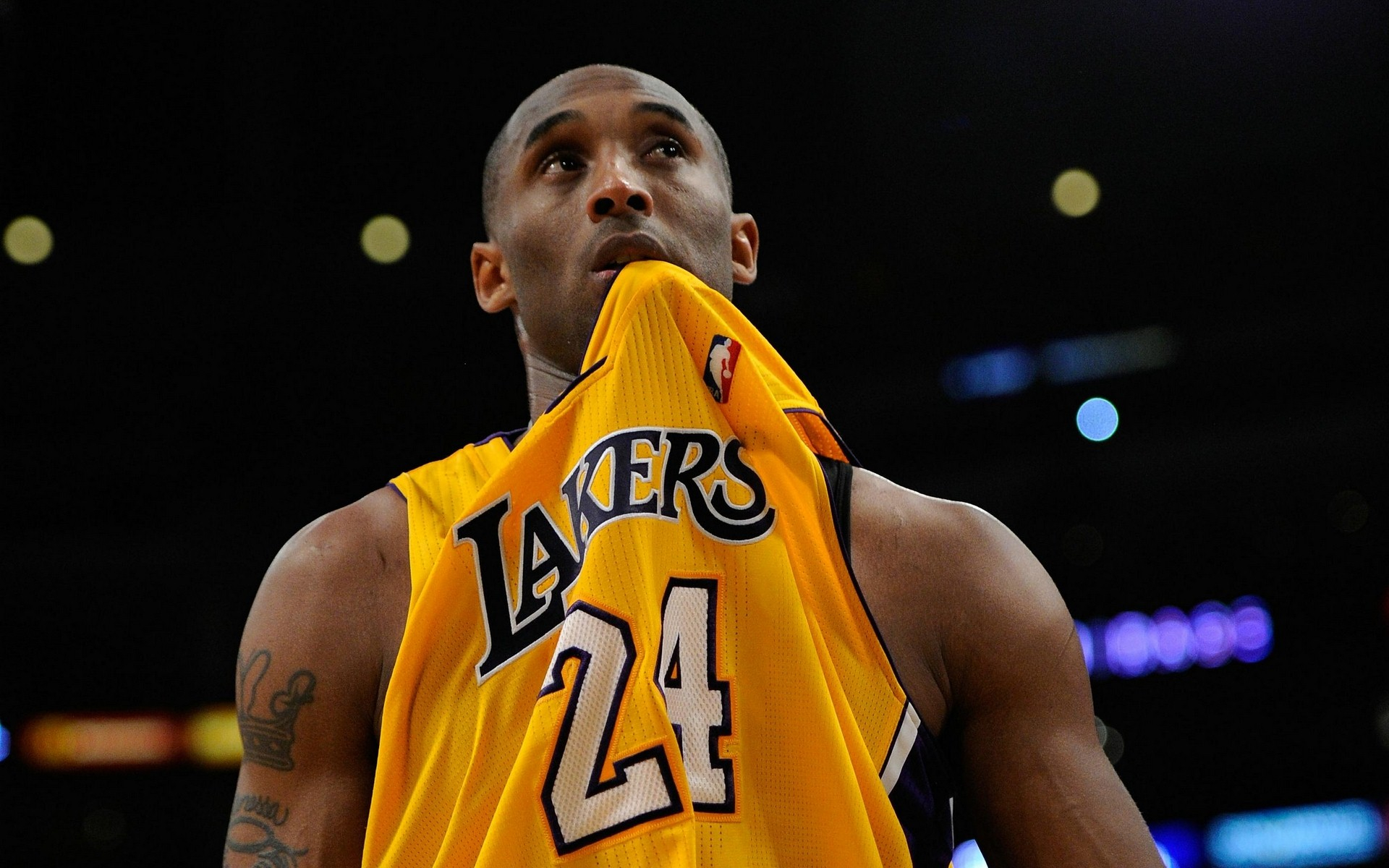 皮带输送机行业未来发展前景趋势